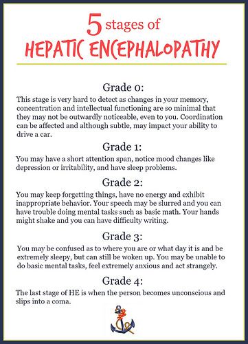 My life with Hepatic Encephalopathy. Nursing School Scholarships, Nurse Teaching, Forgetting Things, Nursing Mnemonics, Nursing School Survival, Best Nursing Schools, Nursing School Studying, Medical School Essentials, Mood Changes