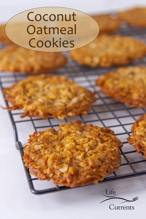 Coconut Oatmeal Cookies, Yellow Bliss Road, Oatmeal Coconut Cookies, Coconut Cookies Recipes, Monster Cookie Bars, Oatmeal Cookies Easy, Recipes From Scratch, Coconut Oatmeal, Cookies Healthy