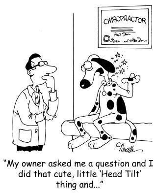 Bradley Chiropractic Inc Www.DrCristinaBradley.com (323) 872-0609 Chiropractor Humor, Chiropractic Humor, Chiropractic Quotes, Chiropractic Marketing, Family Chiropractic, Chiropractic Wellness, Psoas Muscle, Chiropractic Care, Office Humor