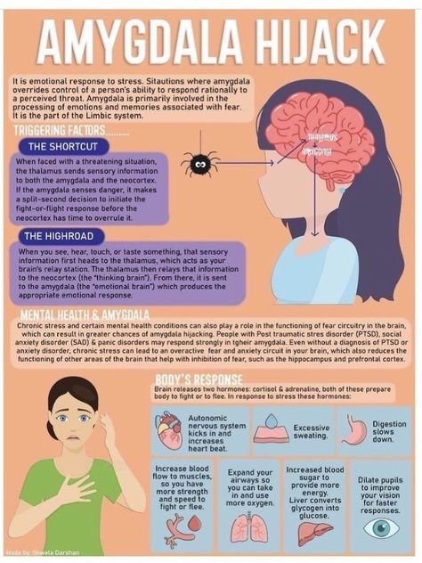 Lcsw Supervision Topics, Psychodynamic Theory, Amygdala Hijack, Human Behavior Psychology, Psychotropic Medications, Polyvagal Theory, Psychology Notes, Mental Health Activities, Understanding Emotions