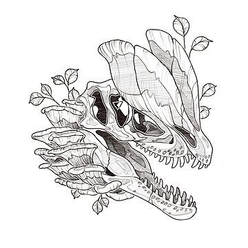 "Dilophosaurus Skull" Sticker for Sale by albluu | Redbubble Dinosaur Skull Sketch, Dinosaur Fossil Tattoo, Dilophosaurus Tattoo, Dragon Skull Drawing, Dinosaur Skull Drawing, Dilophosaurus Art, Imprimibles Jurassic Park, Dilophosaurus Skull, Skull With Mushrooms