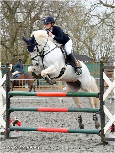 White Horse Showjumping, Equestrian Jumping, Connemara Pony, Equestrian Aesthetic, Pinto Horse, Dream Horse, Horse Aesthetic, Grey Horse, Horse World