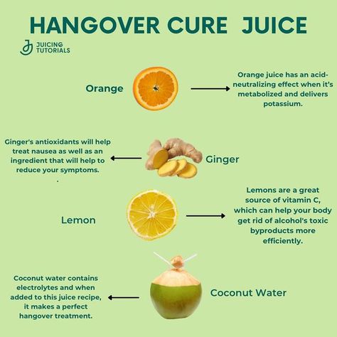 Juicing Tutorials | Juice Recipes on Instagram: "If you are experiencing hangover symptoms in the morning, then try this hangover juice recipe that contains ingredients like lemon, ginger root, oranges, and coconut water. This hangover juice recipe has the right mix of ingredients that will help with your dehydration as well as make sure you are getting enough vitamins throughout the day! Ingredients: 2 Oranges 1 inch piece ginger 1 lemon 1/2 cup coconut water Want more information on delici Hangover Juice, Orange Juice Benefits, Hangover Drink, Hbcu Homecoming, Hangover Symptoms, Vinegar Drink, Apple Cider Vinegar Drink, Juicer Recipes, Natural Healing Remedies