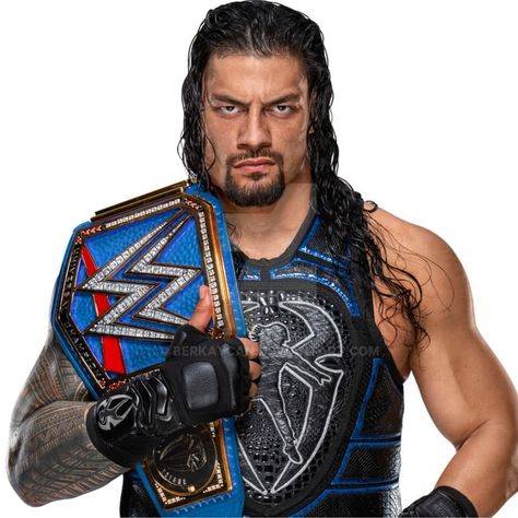 Wwe Women's Championship, Wwe The Shield, Roman Reigns Shirtless, Roman Reigns Smile, Roman Reigns Dean Ambrose, Wwe Superstar Roman Reigns, Buff Women, Roman Reigns Family, Wrestling Stars