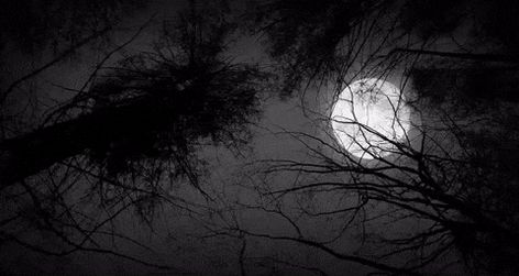 Black And White Gif, Black Banner, Banner Gif, Clipuri Video, The Full Moon, Aesthetic Gif, Dark Forest, Images Gif, Black Aesthetic