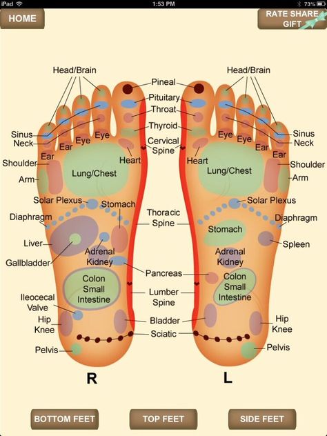 Annies Village Ropes on Twitter: "Here's a great pic of Reflexology points on the feet! From one of my Apps! Enjoy http://t.co/YfdsEkds" / Twitter Reflexology Points, Reflexology Foot Chart, Foot Reflexology Massage, Hand Reflexology, Lymph Massage, Reflexology Chart, Reflexology Massage, Foot Reflexology, Massage Benefits