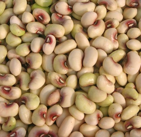 The crowder pea originated in Africa. Fresh Crowder Peas Recipe, Crowder Peas Recipe, Crowder Peas, Field Peas, Blackeyed Peas, Boiled Dinner, Creamed Peas, Oscars After Party, Revealing Dress