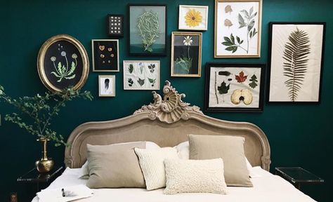 Verdant Forest by Behr Paint Verdant Forest Behr Paint, Behr Dark Teal Paint Colors, Teal Bedroom Walls, Dark Green Rooms, Teal Bedroom, Teal Walls, Classic Bedroom, Green Interiors, Chic Bedroom