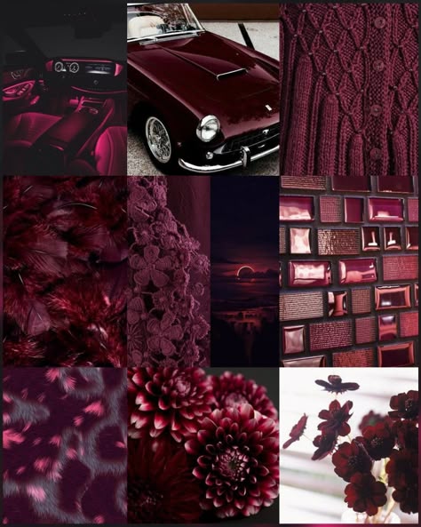 Maroon Bedroom, Maroon Decor, Drinks With Cranberry Juice, House Of Shadows, Olive Hat, Maroon Aesthetic, Burgundy Aesthetic, Deep Winter Palette, Red Stuff