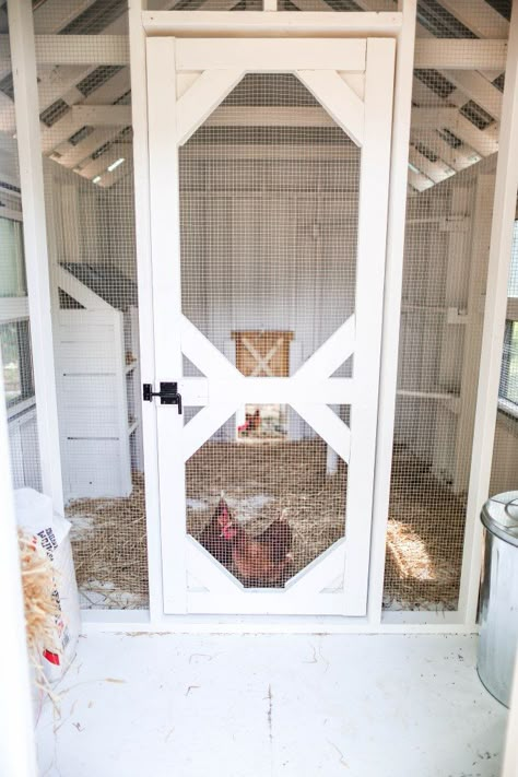 Yoga Workout Room, Pallet Backyard, Decorating Backyard, Coop Layout, Coop Decor, Oasis Backyard, Walk In Chicken Coop, Cute Chicken Coops, Chicken Coop Garden