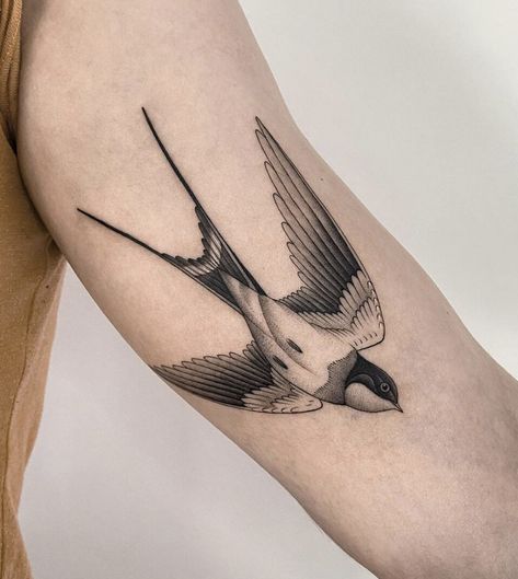 Fine Line Sparrow Tattoo, Fine Line Swallow Tattoo, Swallow Tattoo Arm, Fine Line Animal Tattoos, Fine Line Bird Tattoo, Barn Swallow Tattoo, Golondrinas Tattoo, Lil Tattoo, Swallow Tattoos