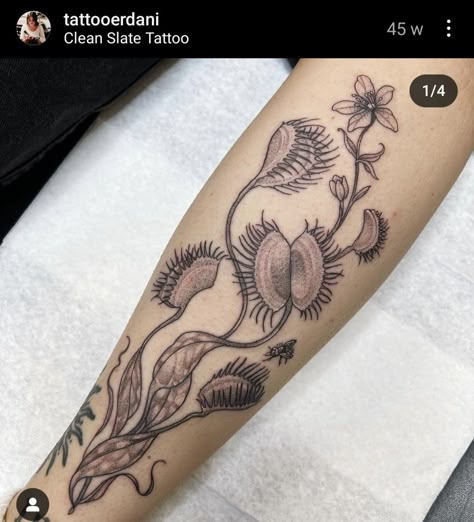 Venus Fly Trap Tattoo Design, Plant Forearm Tattoo, Dark Botanical Tattoo, Hanging Plant Tattoo, Venus Flytrap Tattoo, Fly Trap Tattoo, Venus Fly Trap Tattoo, Botanical Sleeve, Trap Tattoo