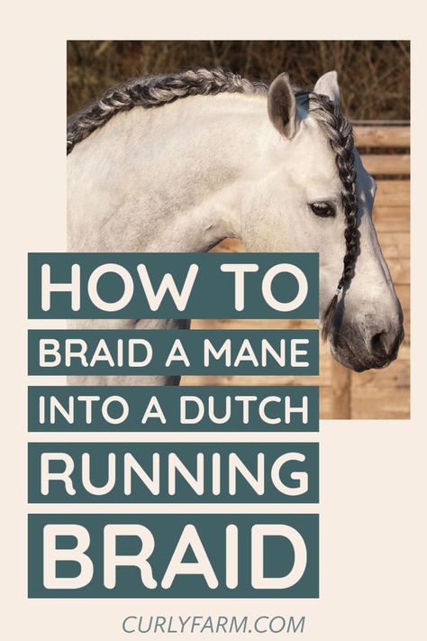 Four strand braids are unique and easy to learn. Step by step instructions to braid a mane into a running braid French Braid Horse Mane, Braided Mane Horse, Horse Main Braiding, Braiding Horse Hair, Running Braids, Mane Braiding, Mane Braids, Tail Ideas, Horse Braids