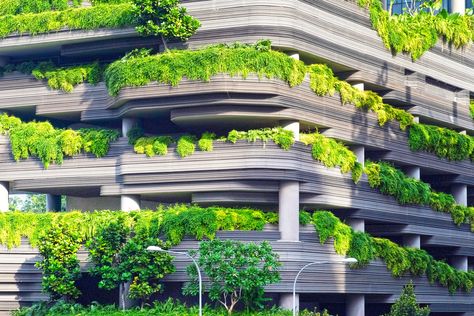 Green plants covering the walls of a multi-story building Eco Construction, شرم الشيخ, Green Construction, Building Concept, 3d Architecture, Architecture Images, Concrete Building, Green Architecture, Organic Architecture