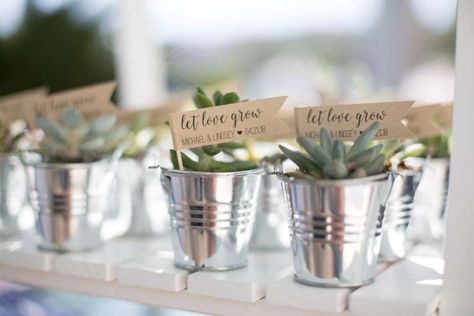 Bohemian Rustic Engagement Party Ideas | Photo 9 of 58 | Catch My Party Succulent Favors Diy, Rustic Engagement Party Ideas, Chic Engagement Party, Rustic Engagement Party, Engagement Party Ideas, Bridal Shower Sash, Marriage Reception, Anniversary Favors, Wedding Favors And Gifts