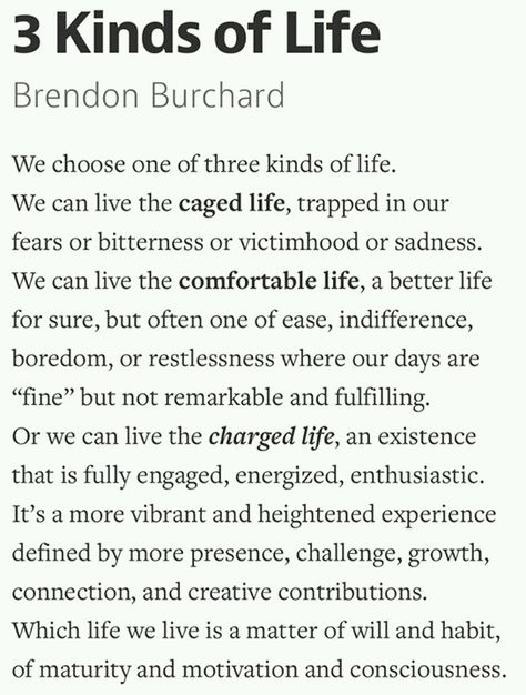 I enjoyed his book "The Motivation Manifesto", but I love his pod casts. Check him out for free at iTunes. This is what I've been listening to on my morning commute. Three kinds of life - Brendon Burchard Motivation Manifesto, Mind Management, Brendon Burchard, Morning Commute, Better Life, Self Help, Life Lessons, Wise Words, Favorite Quotes