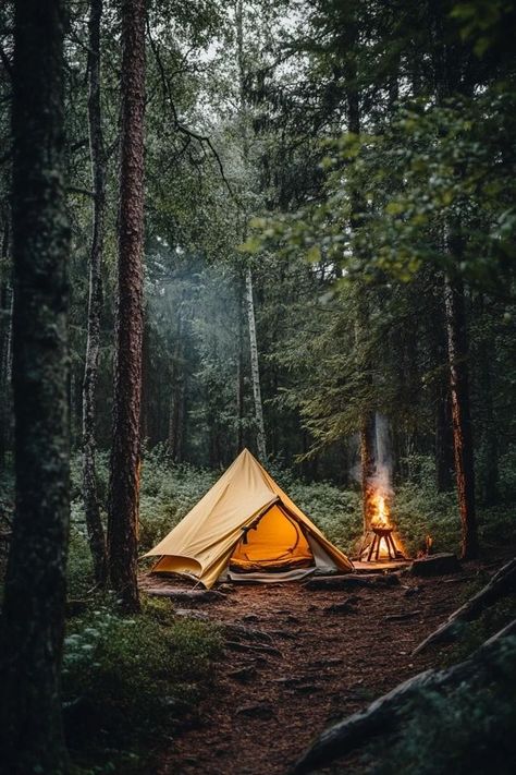 "🌲🏕️ Immerse yourself in nature with forest camping! Find peace and adventure surrounded by towering trees and the sounds of the wild. 🍃🦉 #ForestCamping #NatureEscape #WildernessAdventure" Forest Camping, Forest Camp, Camping Inspiration, Beautiful Forest, Travel Outdoors, Adventure Camping, Find Peace, Cabins In The Woods, Background For Photography