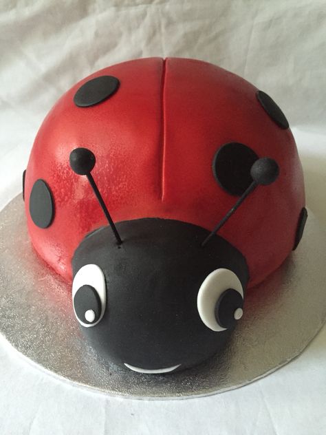 Ladybird Cake, Ladybug Cupcakes, Ladybug Cake, Bird Cake, 5th Birthday Cake, Cake Vanilla, Bird Cakes, Kids Cakes, Lady Bird