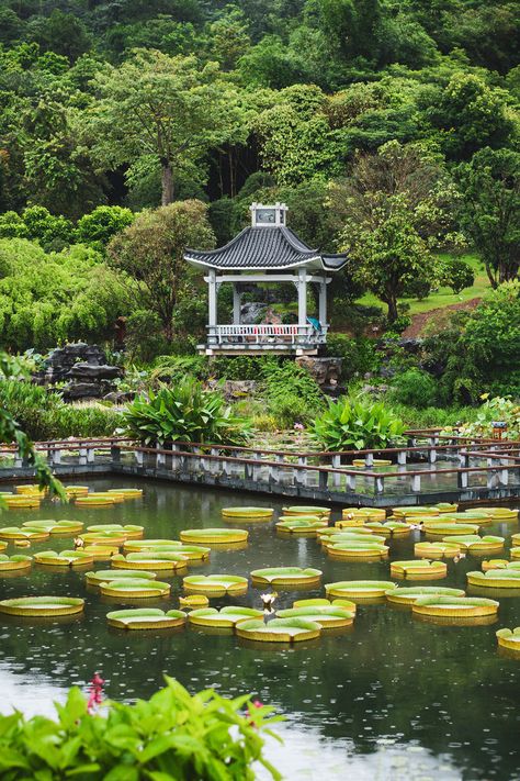 Qingxiu Mountain Park,it's green all the year around——the most beautiful park in Nanning,China. Garden Design Simple, Asia Nature, China Destinations, Summer Places, Aesthetic Visuals, Nanning, China Trip, Zen Garden Design, China Culture