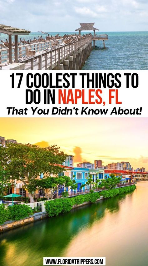 17 Coolest Things To Do In Naples, FL That You Didn't Know About! Naples Florida With Kids, Bucket List Florida, Naples Travel, Florida Bucket List, Florida With Kids, Florida Naples, Things To Do In Naples, Florida Vacation Spots, Fl Beaches