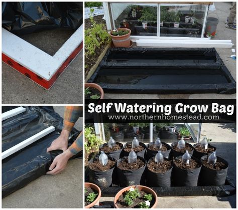 Self Watering Grow Bag Diy Grow Bags, Diy Self Watering, Raised Herb Garden, Diy Container Gardening, Self Watering Containers, Diy Herb Garden, Container Vegetables, Garden Bags, Veg Garden