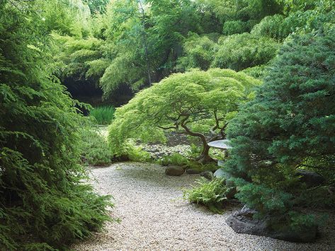 American Garden, Japanese Garden Design, English Cottage Garden, Luxury Garden, Garden Landscape Design, Garden Features, Lush Garden, Private Garden, Shade Garden