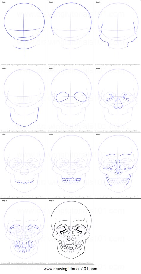 How to Draw a Skull printable step by step drawing sheet : DrawingTutorials101.com Skull Art Step By Step, Step By Step Drawing Tattoo, How To Draw A Realistic Skull, How To Draw A Human Skull, Skull Drawing How To, How To Draw Skeleton Head, Draw Skull Step By Step, Skull Step By Step Drawing, Skull Drawing Tutorial Step By Step