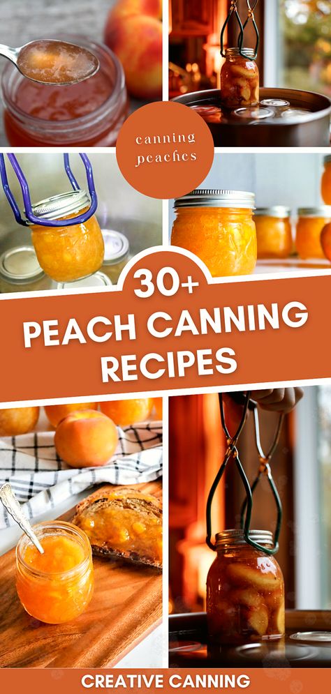 Dive into a collection of over 30 peach canning recipes that range from the classic to the unique. Discover how to can peaches in light syrup, can peach pie filling, and create a tangy peach salsa. Whether you're a beginner or a seasoned canner, this guide to canning fruit in jars using a water bath canner is a treasure trove of sweet and savory delights. Canning Peaches Recipes Pie Fillings, Bottled Peaches Recipes, Different Ways To Can Peaches, Peach Pie Filling To Can, Preserving Peaches Recipes, Preserving Peaches Canning Recipes, Canning Recipes With Peaches, Best Peach Jam Recipe Canning, Canned Peach Jam Recipe