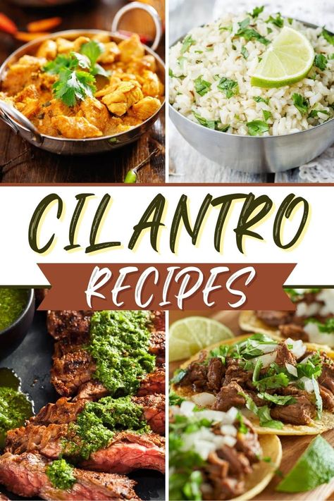 These cilantro recipes are incredible for people who love the herb! From chicken to rice to salad and soup, as long as you don't think cilantro tastes like soap, you'll love these easy dishes. Dinners With Cilantro, Dried Cilantro Recipes, Food With Cilantro, Chicken And Cilantro Recipes, Cilantro Dinner Recipes, Recipes Using Fresh Cilantro, Recipes With Cilantro Dinners, Dishes With Cilantro, Recipes That Use Cilantro