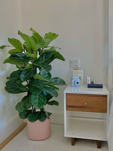 Room Decor Bedroom Plants, Bedside Plants, Bedside Table Ideas Aesthetic, Marine Bedroom, Boho Bedside Table, Ficus Plant, Bedroom Plants Decor, Surf Room Decor, Mini Closet