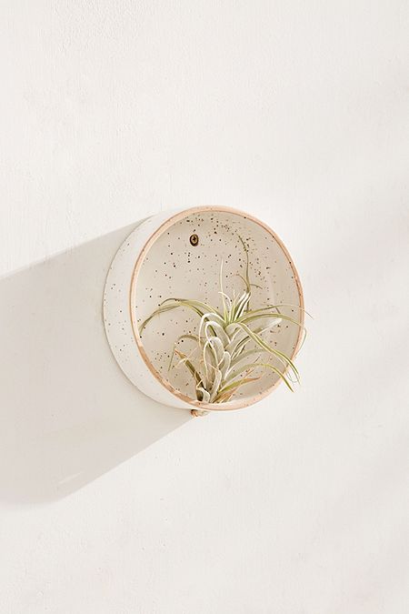 Air Plants Diy, Unique Planters, Plant Display Ideas, Hanging Plants Diy, Air Plant Display, Air Plant Holder, Plant Stands, Pottery Crafts, Year 3