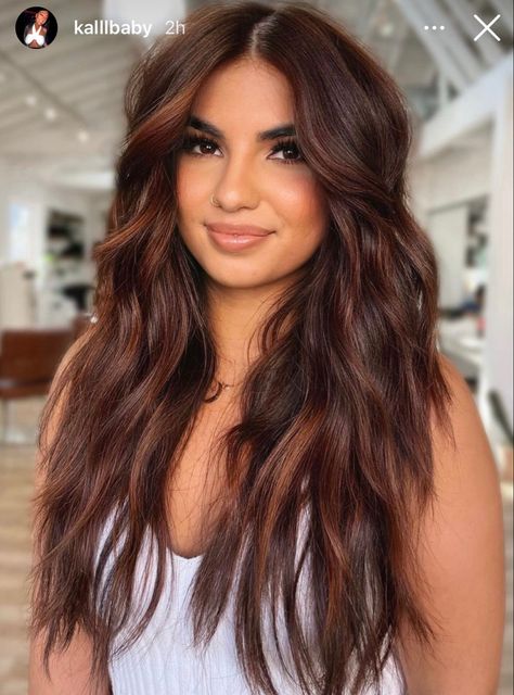 Full Balayage Brunettes Dark Brown, Summer Highlights For Dark Brown Hair, Brown Summer Hair, Rambut Brunette, Warm Brunette, Rich Brunette, 2023 Hair, Color For Brunettes, Hair Color For Brunettes