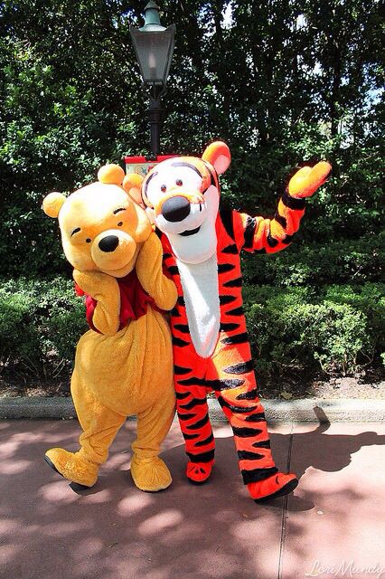 Pooh And Tigger, Disneyland Christmas, Disney World Characters, Cute Winnie The Pooh, Cute Disney Pictures, Disney Cosplay, Disneyland Park, Disney Photos, Disney Aesthetic