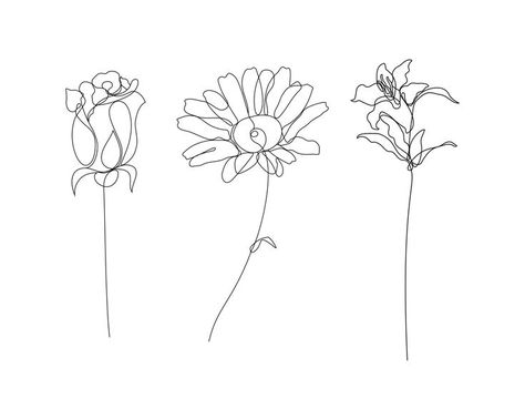 Daisy Calloway, Daisy Tattoo, Flower Icons, Rose Lily, Lily Rose, Free Vectors, Lily Flower, Images Photos, Flower Drawing