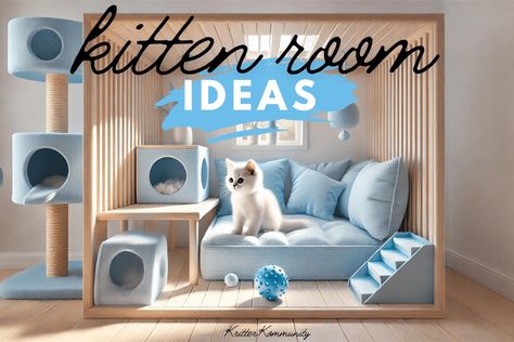 Kitten Room Designs: Step-by-Step Set-Up and Roaming Schedule • Kritter Kommunity Kitten Room Ideas, Kitten Room, Kitten Biting, Floating Cat Shelves, Room Decor Tips, Cozy Beds, Cat Window Perch, Comfortable Space, Cat Window