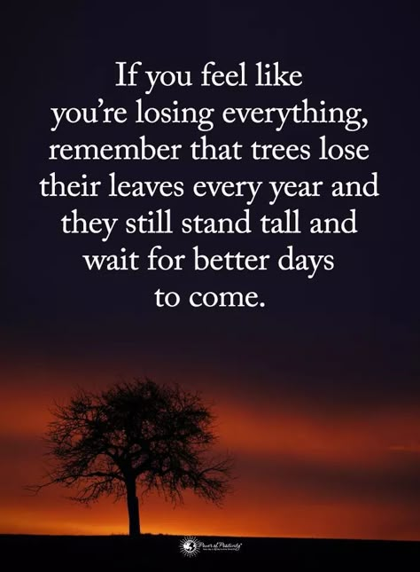 if you feel like you're losing everything, remember that trees lose their leaves every year and they still stand tall and wait for better days to come. Motivational Quotes For Work, Success Words, Quotes For Work, Now Quotes, Quotes Encouragement, Work Success, Work Motivational Quotes, Better Days, Quotes About Moving On