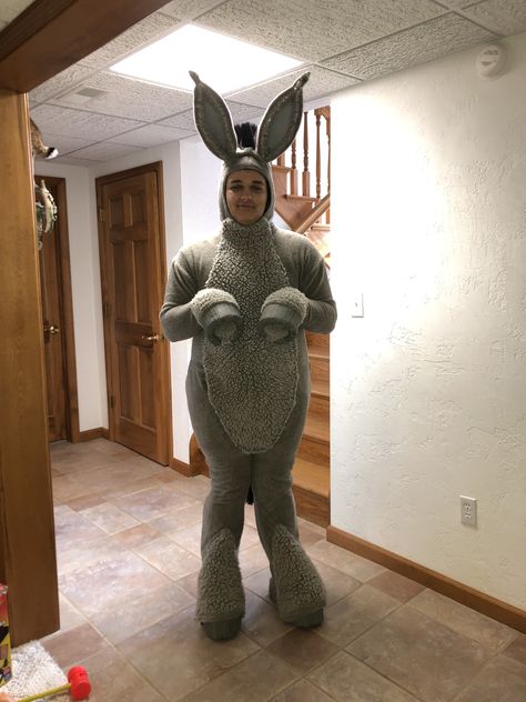 Shrek Musical, Donkey Costume, Shrek Party, Shrek The Musical, Shrek Costume, Halloween 2024, Pinocchio, Shrek, Character Costumes