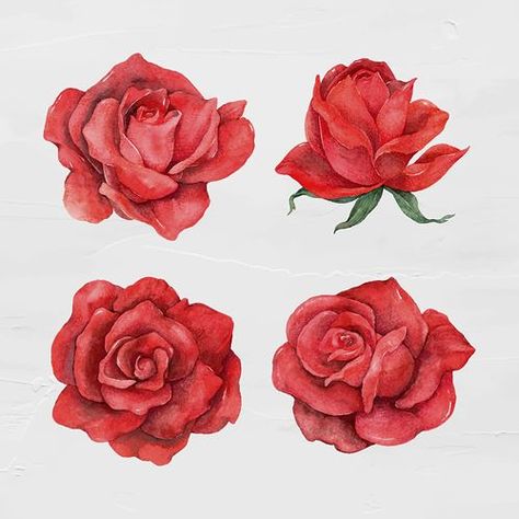 Vector red rose flower vintage | Premium Vector - rawpixel Haldi Card, Red Rose Sketch, Red Flower Illustration, Abstract Rose Painting, Realistic Rose Drawing, Red Rose Art, Red Flower Design, Rose Line Art, Abstract Rose