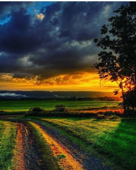 After The Storm, Dirt Road, Beautiful Sky, The Storm, Beautiful Sunset, Country Life, 그림 그리기, Nature Beauty, Beautiful World