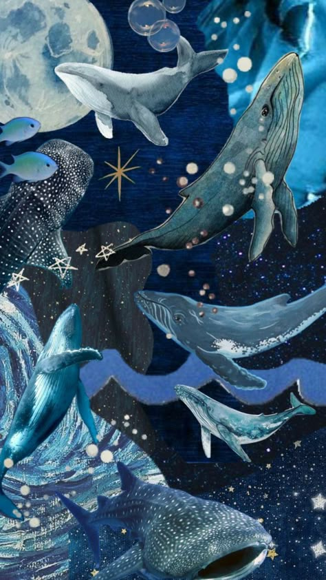 Blue Pretty Aesthetic, Ocean Stars, Fish Background, Shark Pictures, Pretty Aesthetic, Cute Shark, Pop Art Wallpaper, Ocean Wallpaper, Whale Shark