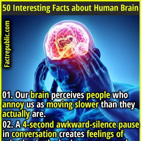 50 Interesting Facts about Human Brain - Fact Republic Music Facts Interesting, Interesting Facts About Human Psychology, Brain Facts Psychology, Human Brain Facts, Human Facts, Interesting Facts About Humans, Interesting Health Facts, Youtube Facts, About Brain