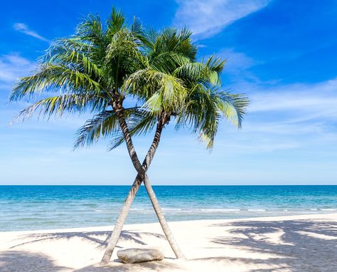 Chain Photography, Summer Backdrop, Beach Illustration, Palm Trees Beach, Saint Lucia, Beach Blue, Seaside Beach, Sky Design, Canvas Photo Prints