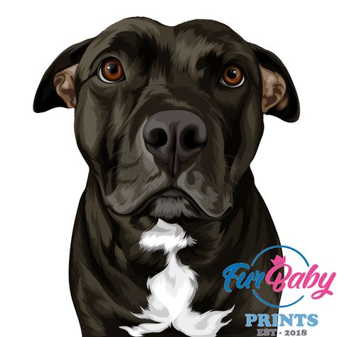 All Products Dog Portrait Illustration Digital, Staffy Dog Illustration, Dog Drawing Pitbull, Pitbull Dog Drawing, Pet Portraits Illustration, Pitbull Illustration, Pitbull Artwork, Pitbull Portrait, Pitbull Drawing