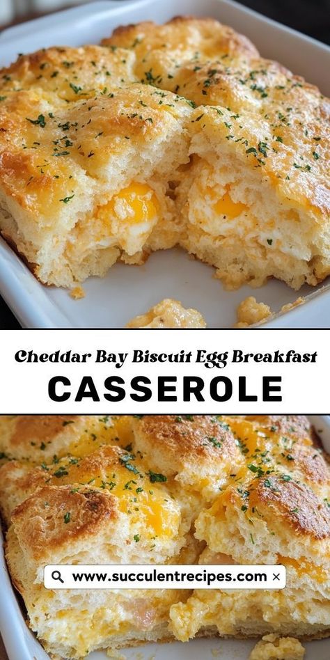 Start your day with this Easy Cheddar Bay Biscuit and Egg Casserole! Fluffy biscuits, creamy eggs, and savory cheese baked together for a delicious breakfast casserole everyone will love. Egg Breakfast Casserole, Egg Bake Casserole, Baked Breakfast Casserole, Biscuit Casserole, Perfect Roast Turkey, Cheddar Cheese Recipes, Breakfast Casserole With Biscuits, Egg Biscuits, Delicious Breakfast Casserole