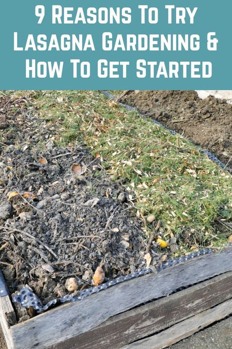 When I discovered lasagna gardening, it changed my life. Here's why you should try it too and how to get started. Lasagna Gardening Layers, Lasagna Garden, Garden Weeder Tool, Bed Layout, Lasagna Gardening, Food Forest Garden, Garden Bed Layout, Garden Watering System, Garden Kneeler