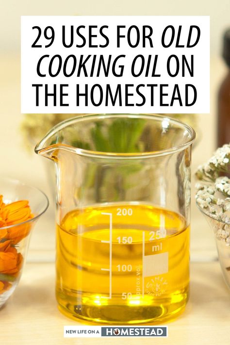 Cooking oil is something we always throw away or recycle, but it actually has a ton of alternative uses. #homesteading #frugality #selfreliance Oil Face Cleansing, Oil Cleansing Method, Homestead Kitchen, Vegetable Harvest, Lavender Benefits, Cold Home Remedies, Cleansing Face, Natural Cleaners, Calming Scents