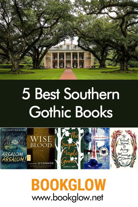 Southern Gothic Books, Southern Gothic Literature, Southern Fiction, Book Hoarder, All About Books, Book Tasting, Gothic Literature, Inspirational Readings, Gothic Books