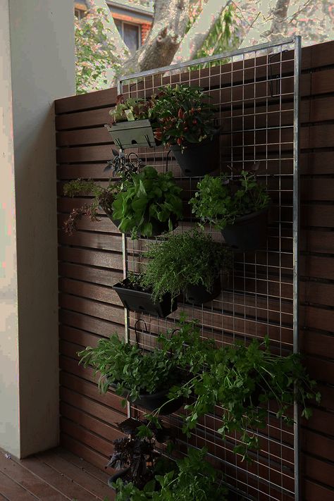 [Sponsored] How To Grow A Vertical Herb Garden | Better Homes And Gardens #verticalgardendesignoutdoorsplantwallplanter Vertical Herb Gardens, Vertical Garden Design, Grow Herbs, Vertical Herb Garden, Gardening Techniques, Herb Gardens, Herb Planters, Vertical Gardening, Simple Budget