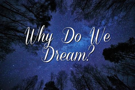 Why Do We Dream? Lucid Dreaming Dangers, Interesting Facts About Dreams, Why Do We Dream, What Are Dreams, Dream Studies, Facts About Dreams, Dream Sleep, Sleep Clinic, About Dreams