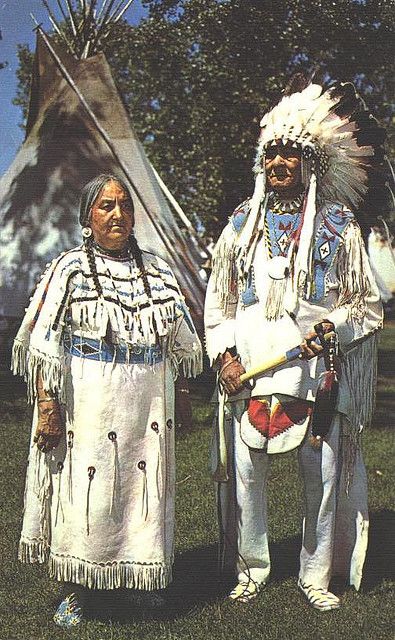 Chief Bull and Wife Sioux Indian, Native American Images, Indian Pictures, Native American Pictures, Wilde Westen, Western Comics, Native American Photos, Far West, Native American Peoples